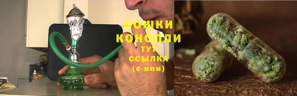трава Новокубанск
