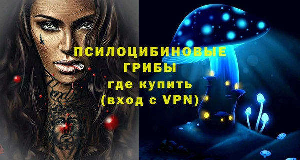 трава Новокубанск