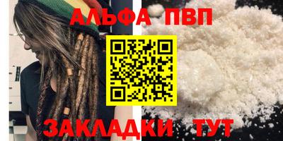 спиды Гатчина