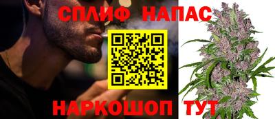 спиды Гусиноозёрск