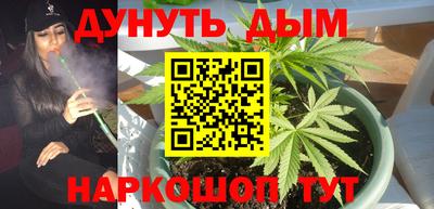 спиды Гатчина