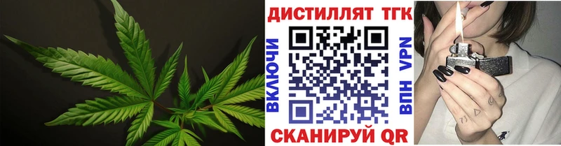 купить  цена  Кинель  ТГК THC oil 