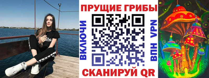 Псилоцибиновые грибы GOLDEN TEACHER  как найти закладки  Кинель 