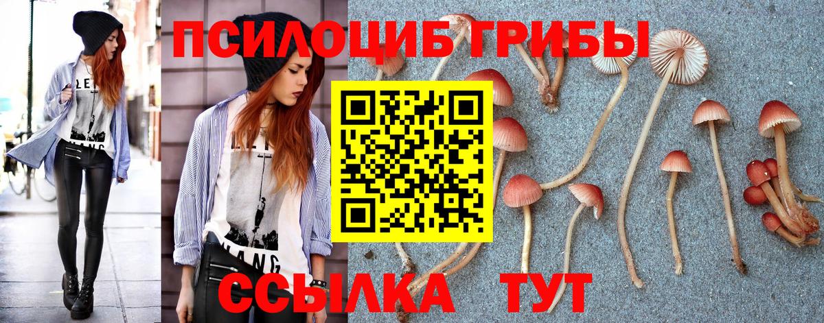 Галлюциногенные грибы Magic Shrooms  Кинель 