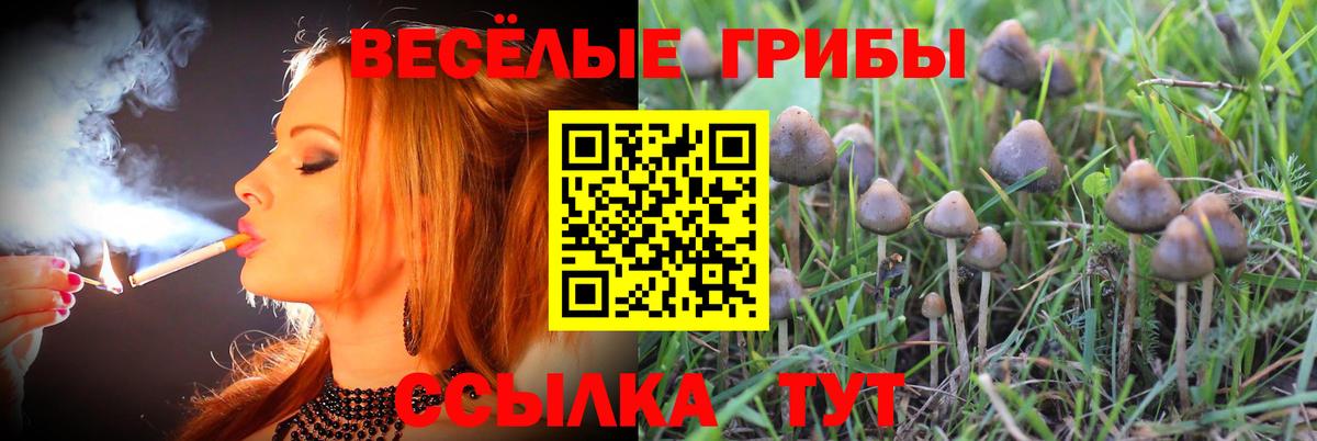Галлюциногенные грибы Magic Shrooms  Вход с VPN  Кинель 