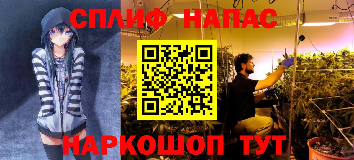 Шишки марихуана план  Шишки марихуана THC 21%  Кинель 